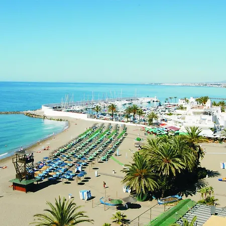 In First Line Apto 12-3 *