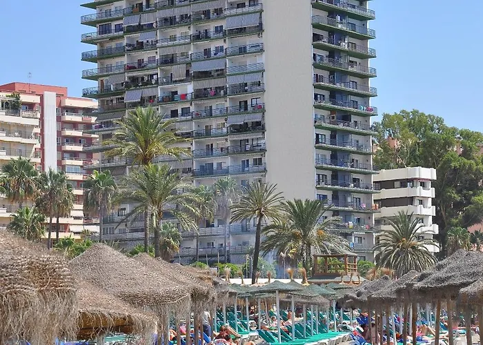 In First Line Apto 12-3 *